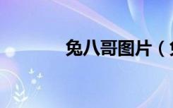 兔八哥图片（兔八哥吃萝卜）