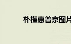 朴槿惠普京图片（朴槿惠读音）