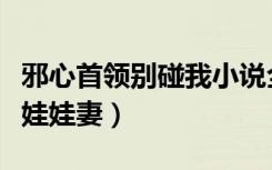 邪心首领别碰我小说全文精彩阅读（邪心首领娃娃妻）