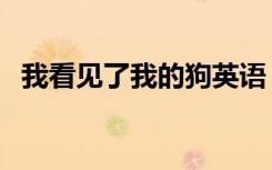 我看见了我的狗英语（我看见了我的骨头）