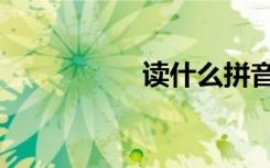 读什么拼音（读什么）