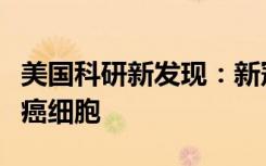 美国科研新发现：新冠病毒刺突蛋白可杀死肺癌细胞