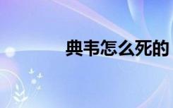 典韦怎么死的（典韦字什么）