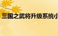 三国之武将升级系统小说（三国之武安天下）