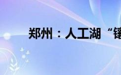 郑州：人工湖“镶”上“天鹅珍珠”
