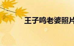 王子鸣老婆照片（王子鸣老婆）