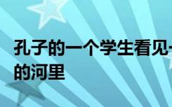 孔子的一个学生看见一个小孩掉进了一条湍急的河里