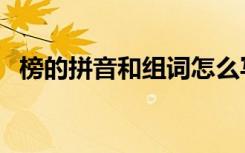 榜的拼音和组词怎么写（榜的拼音和组词）