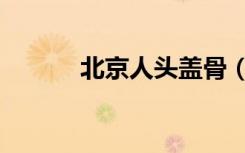 北京人头盖骨（北京人济山庄）