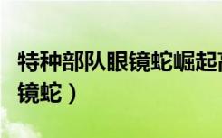 特种部队眼镜蛇崛起高清完整版（特种部队眼镜蛇）