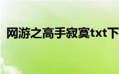 网游之高手寂寞txt下载（网游之高手寂寞）