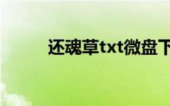 还魂草txt微盘下载（还魂草txt）