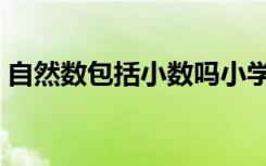自然数包括小数吗小学（自然数包括小数吗）