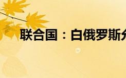 联合国：白俄罗斯允许乌出口粮食过境