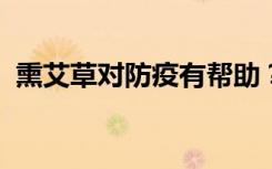熏艾草对防疫有帮助？专家：尚未得到验证