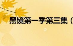黑镜第一季第三集（黑镜第二季第三集）