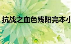抗战之血色残阳完本小说（抗战之血色残阳）