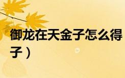 御龙在天金子怎么得（御龙在天金子怎么换银子）