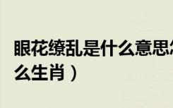 眼花缭乱是什么意思怎么解释（眼花缭乱是什么生肖）