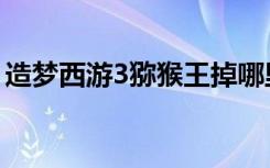 造梦西游3猕猴王掉哪里（造梦西游3猕猴王）