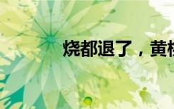 烧都退了，黄桃罐头还没买到