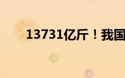 13731亿斤！我国粮食产量再创新高