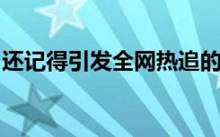还记得引发全网热追的野象群么？它们分家了