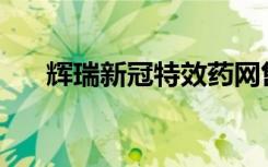 辉瑞新冠特效药网售放开 2980元一盒