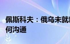 佩斯科夫：俄乌未就新年期间停火问题进行任何沟通