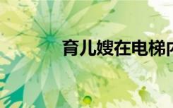 育儿嫂在电梯内猛烈击打幼童