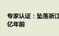 专家认证：坠落浙江“火流星”陨石来自46亿年前