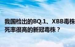 我国检出的BQ.1、XBB毒株的致病力如何？未来会否出现致死率很高的新冠毒株？