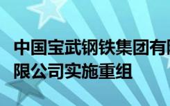 中国宝武钢铁集团有限公司与中国中钢集团有限公司实施重组