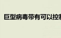 巨型病毒带有可以控制生物代谢的遗传密码