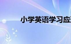 小学英语学习应遵循那几个原则?