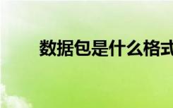 数据包是什么格式（数据包是什么）