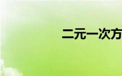 二元一次方程通吃解法