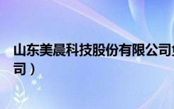 山东美晨科技股份有限公司负债（山东美晨科技股份有限公司）