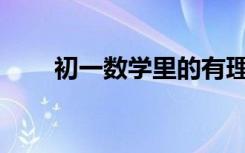 初一数学里的有理数知识点有什么？