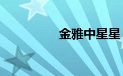 金雅中星星（金雅中星）