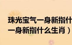 珠光宝气一身新指什么生肖2022（珠光宝气一身新指什么生肖）