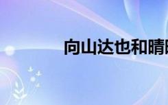 向山达也和晴晴（向山达也）