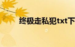 终极走私犯txt下载（终极走私犯）