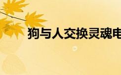 狗与人交换灵魂电影（狗与猪交配）