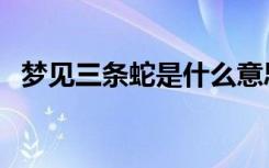 梦见三条蛇是什么意思（梦见三条大蟒蛇）