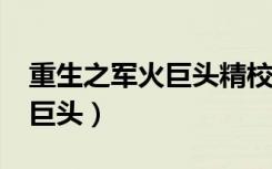 重生之军火巨头精校版txt下载（重生之军火巨头）