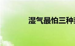 湿气最怕三种菜（湿身为后）