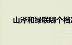 山泽和绿联哪个档次高（山泽仪式石）
