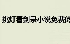 挑灯看剑录小说免费阅读全文（挑灯看剑录）