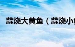 蒜烧大黄鱼（蒜烧小黄鱼是哪个地方的菜）